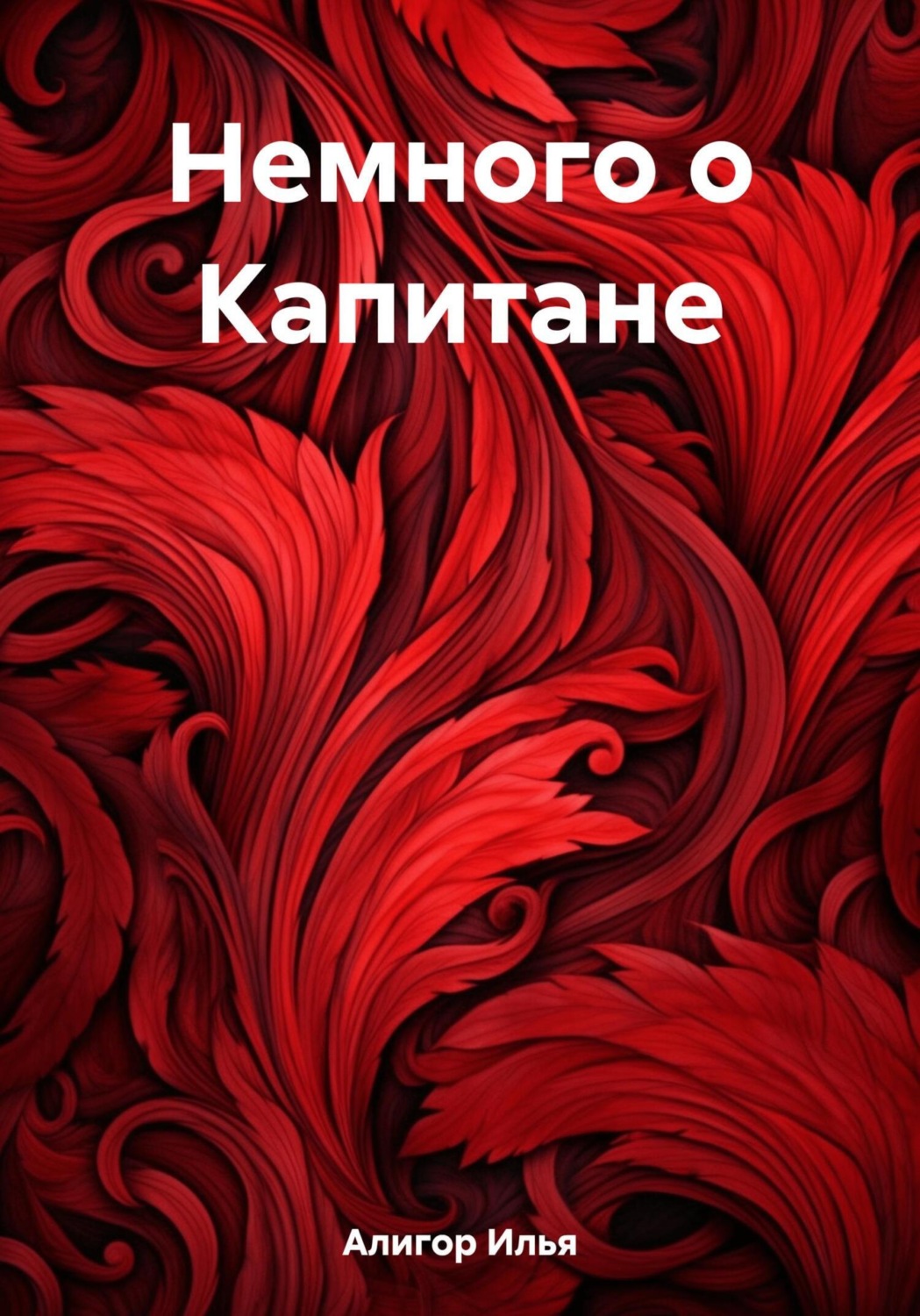 Обложка книги «Немного о Капитане»