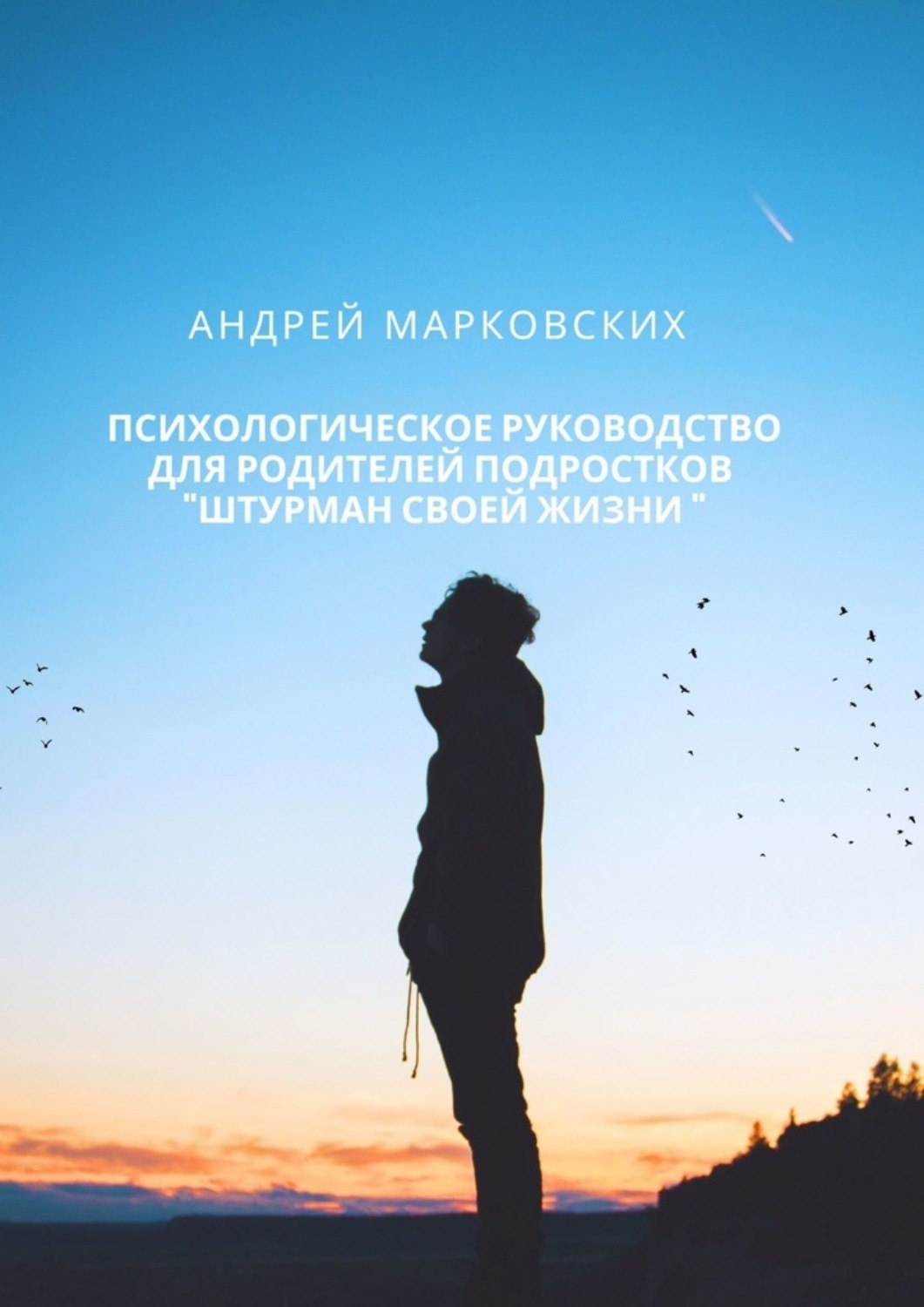 Обложка книги «Психологическое руководство для родителей подростков «Штурман своей жизни»»