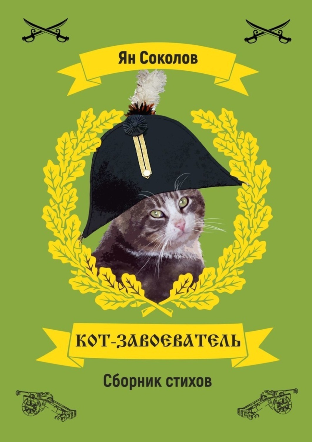 Обложка книги «Кот-завоеватель»