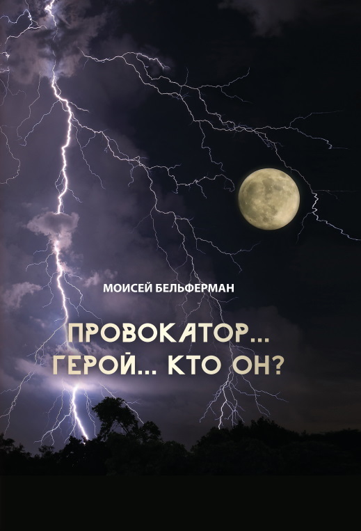 Обложка книги «Провокатор… Герой… Кто он?»