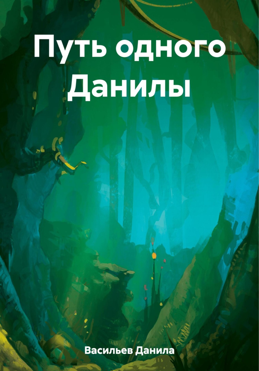 Обложка книги «Путь одного Данилы»