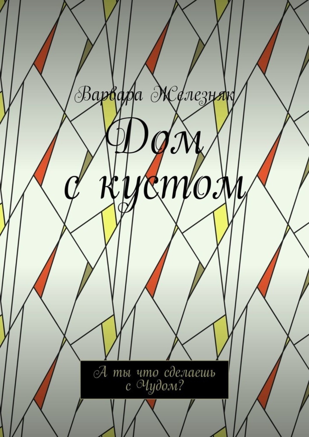 Обложка книги «Дом с кустом. А ты что сделаешь с Чудом?»