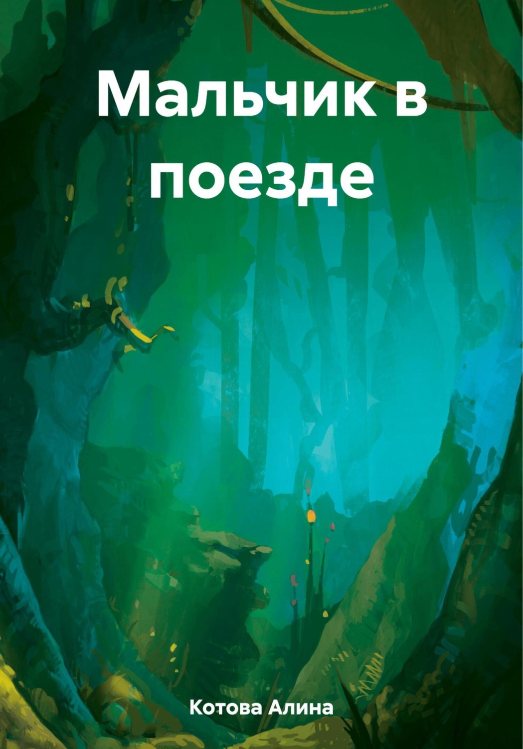 Обложка книги «Мальчик в поезде»