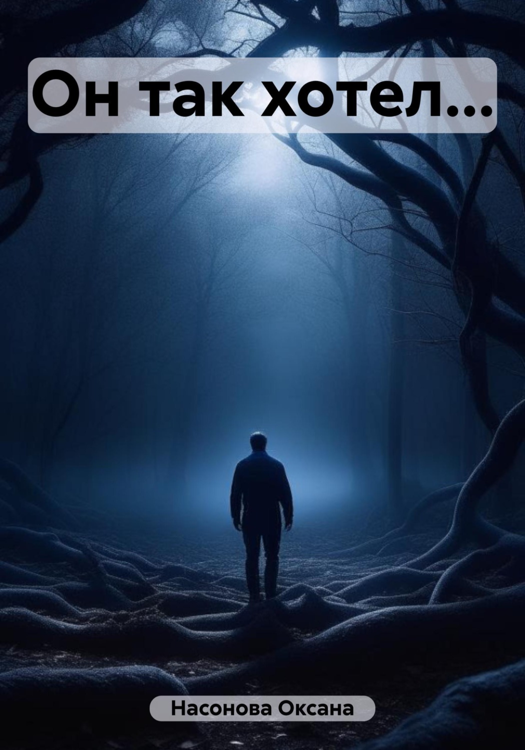 Обложка книги «Он так хотел...»