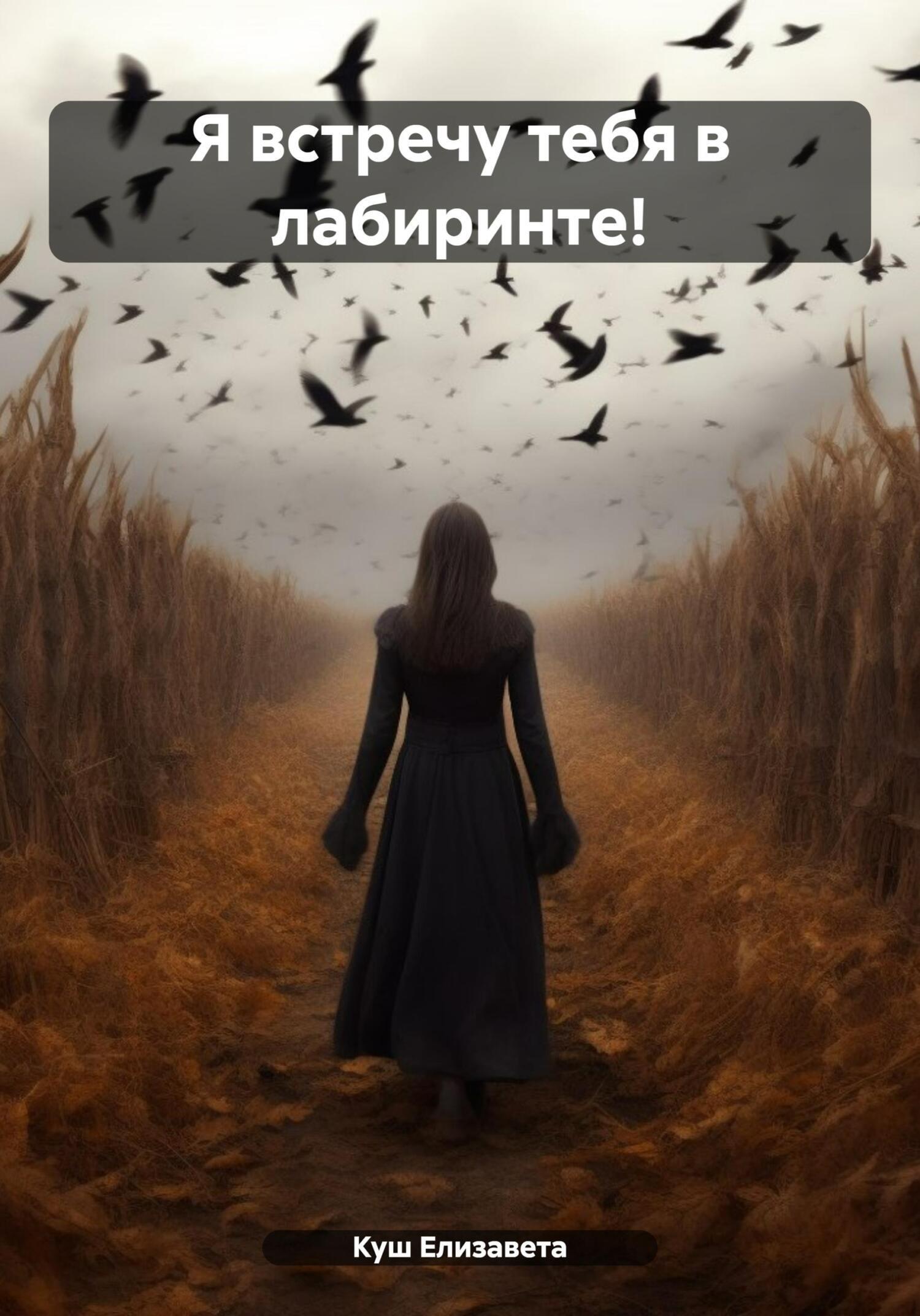 Обложка книги «Я встречу тебя в лабиринте!»