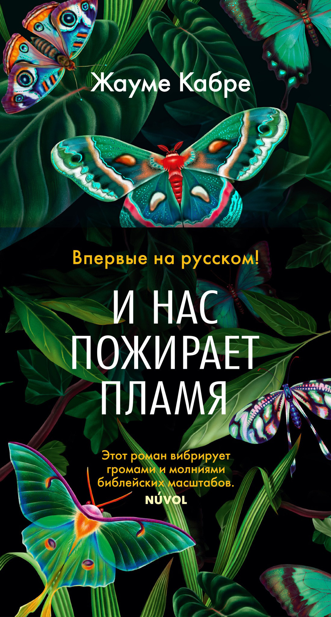Обложка книги «И нас пожирает пламя»