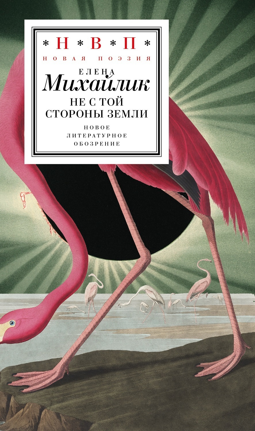 Обложка книги «Не с той стороны земли»