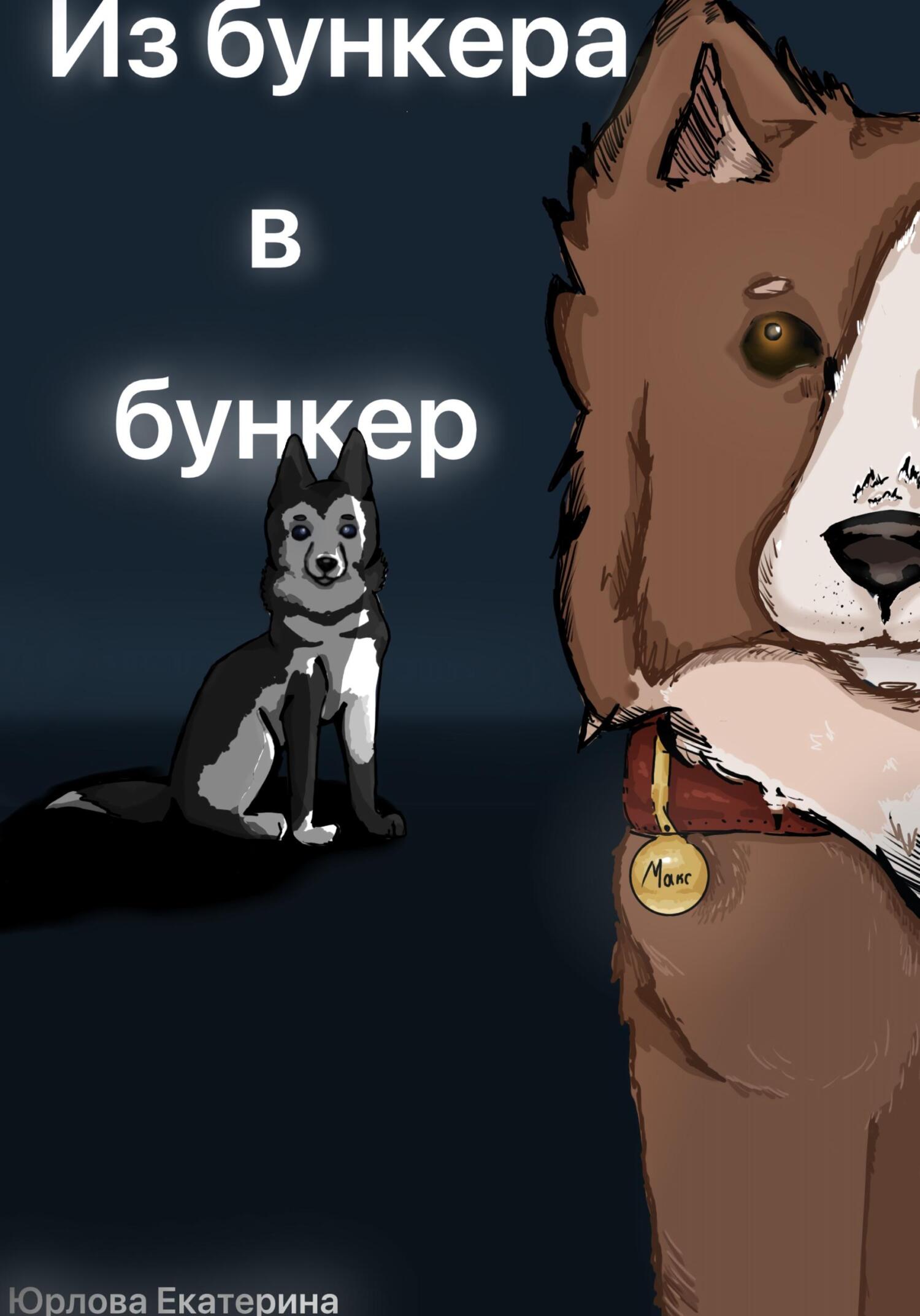 Обложка книги «Из бункера в бункер»