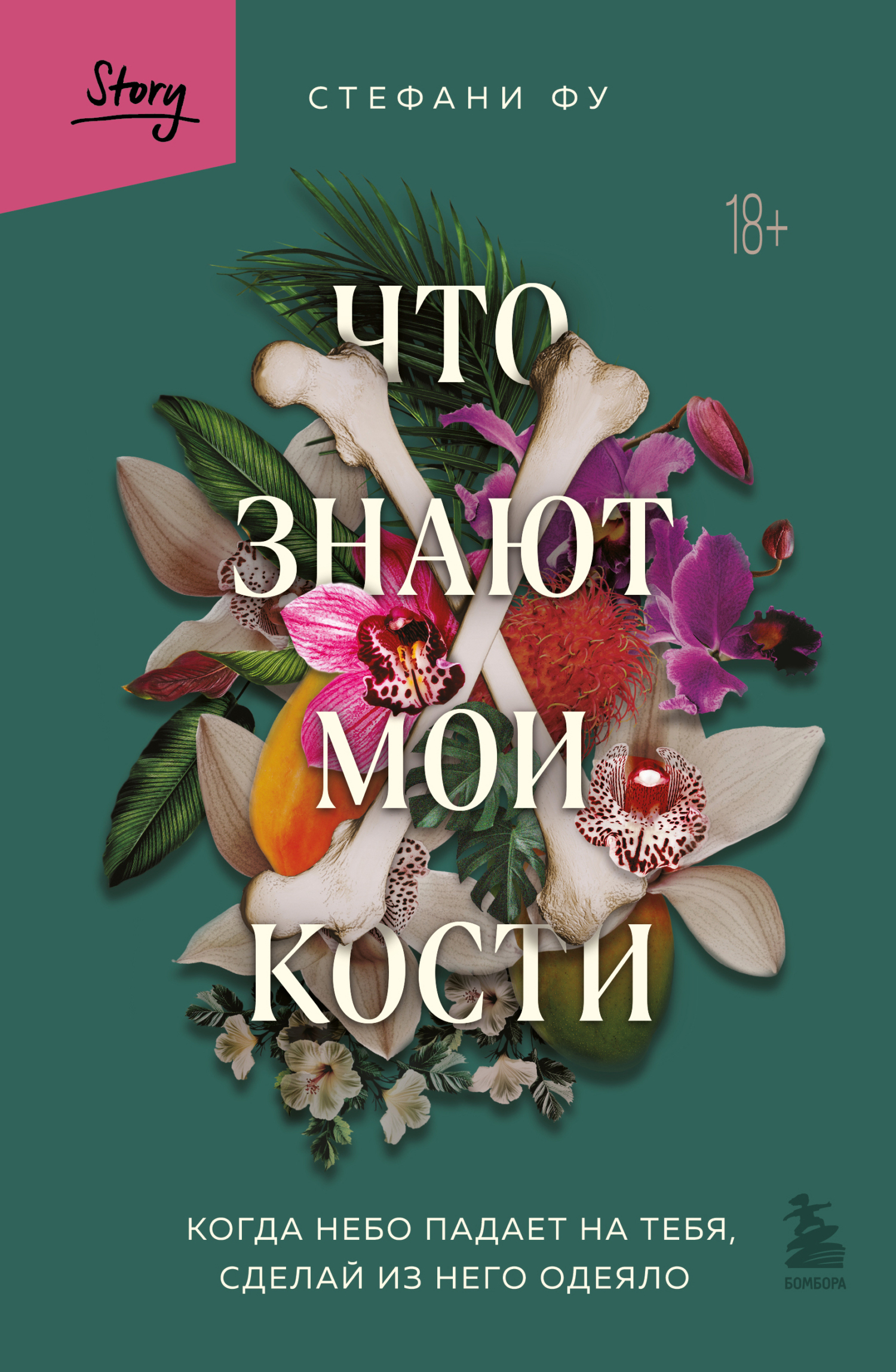 Обложка книги «Что знают мои кости. Когда небо падает на тебя, сделай из него одеяло»