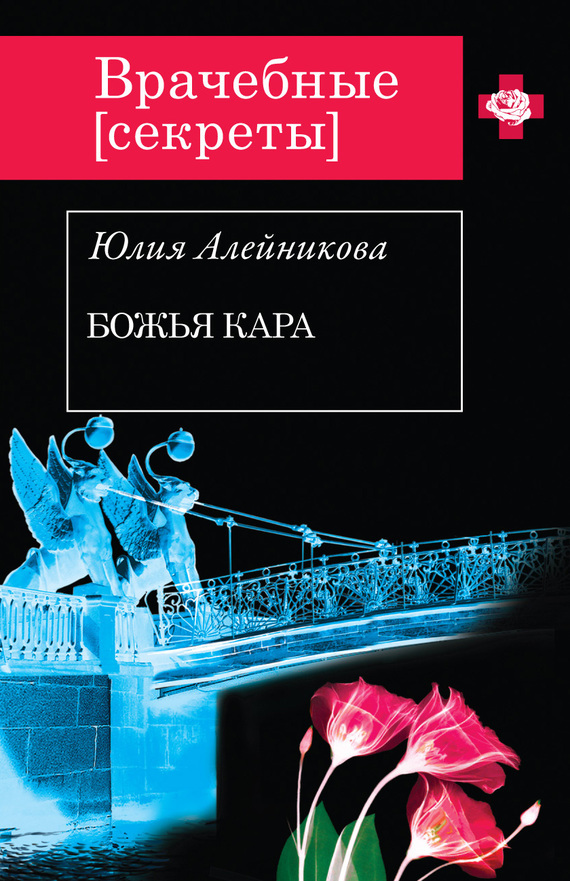 Обложка книги «Божья кара»