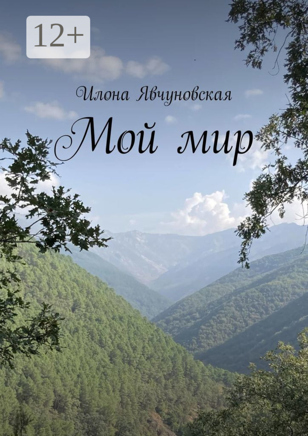 Обложка книги «Мой мир»