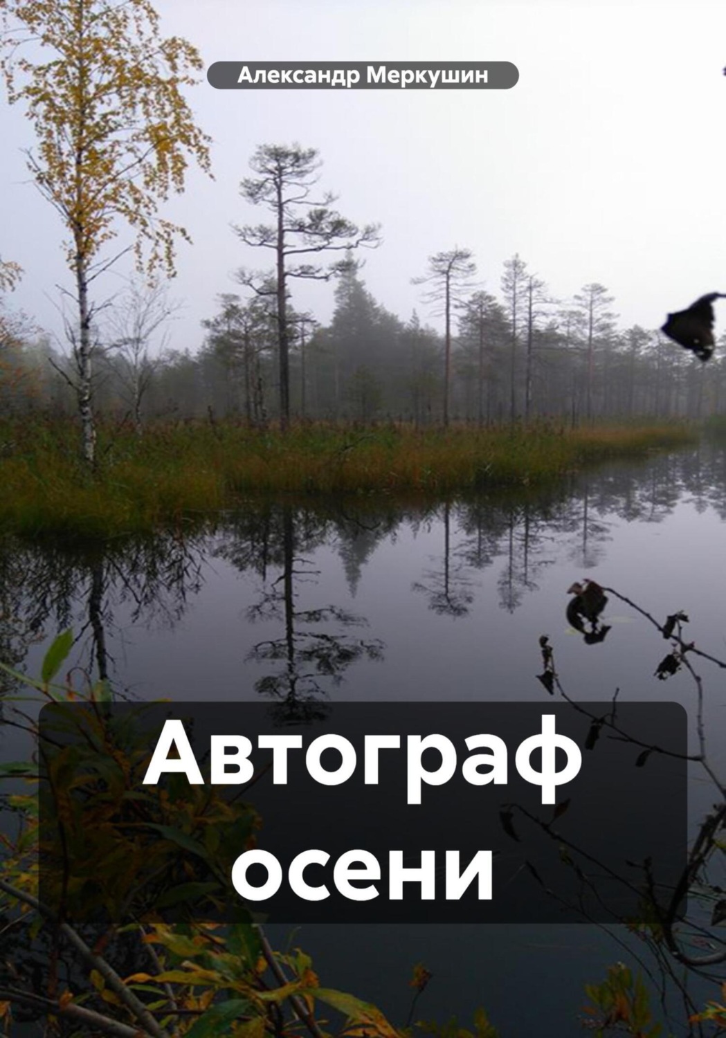 Обложка книги «Автограф осени»