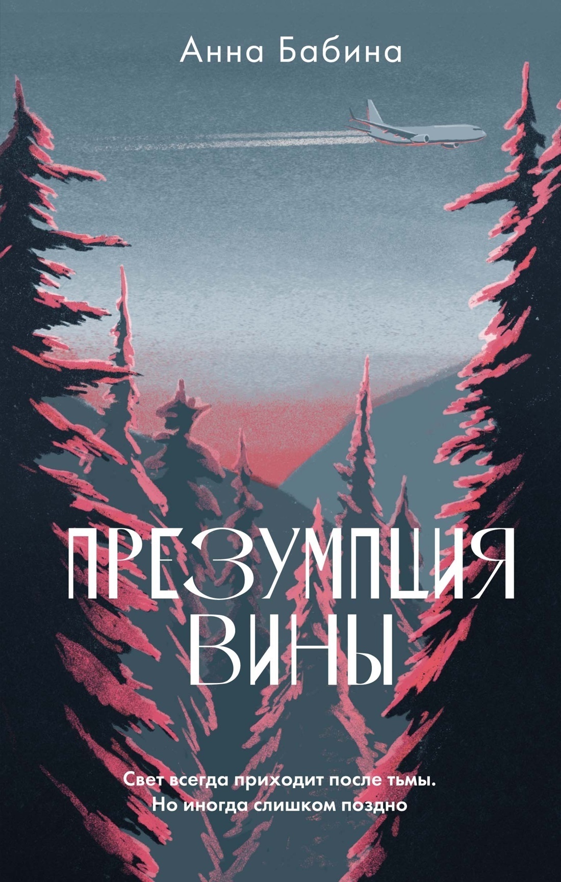 Обложка книги «Презумпция вины»