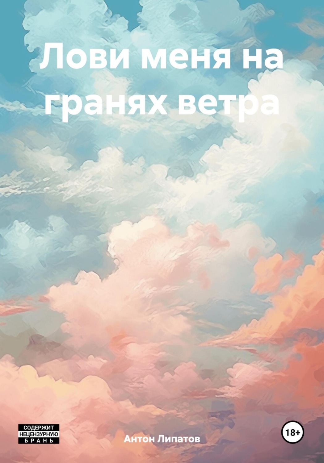 Обложка книги «Лови меня на гранях ветра»