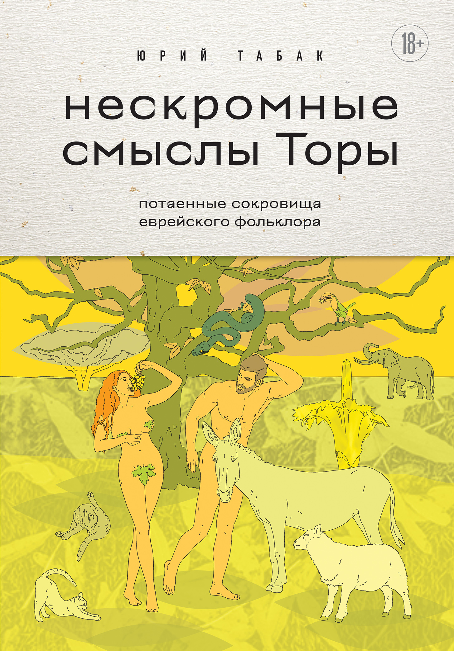 Обложка книги «Нескромные смыслы Торы. Потаенные сокровища еврейского фольклора»