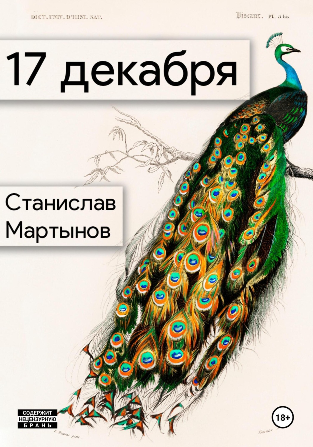 Обложка книги «Я не умру 17 декабря»