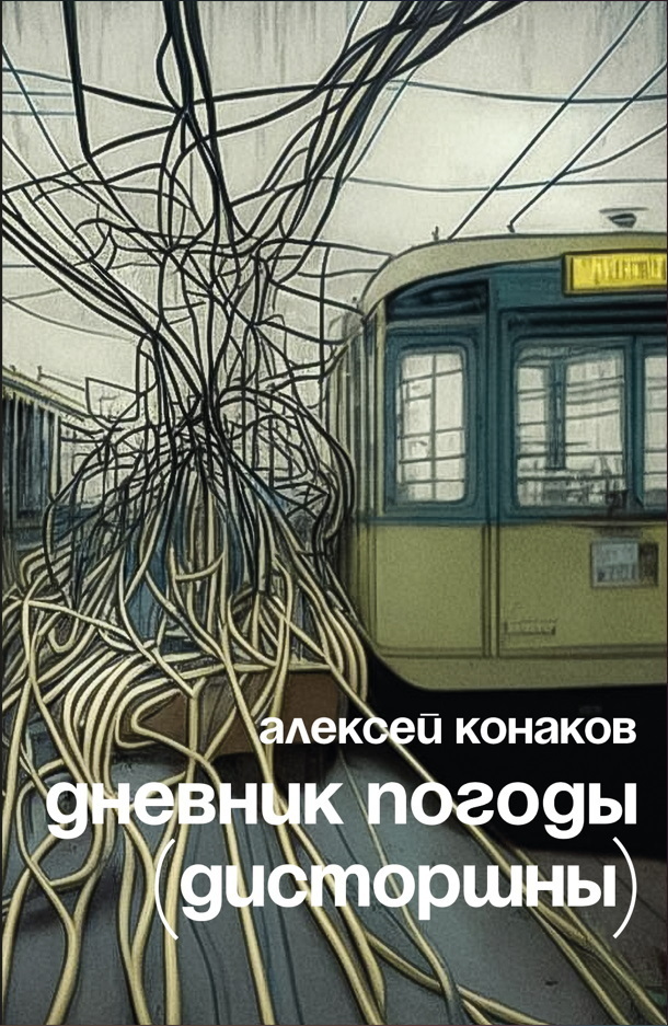 Обложка книги «Дневник погоды (дисторшны)»