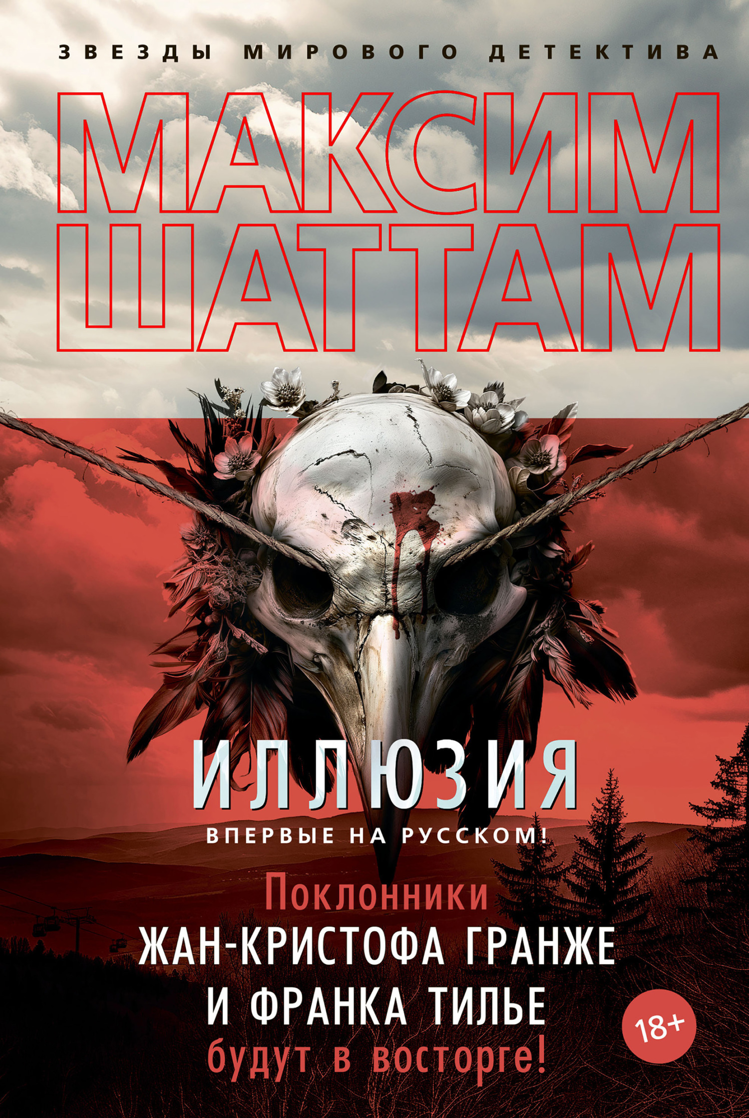 Обложка книги «Иллюзия»