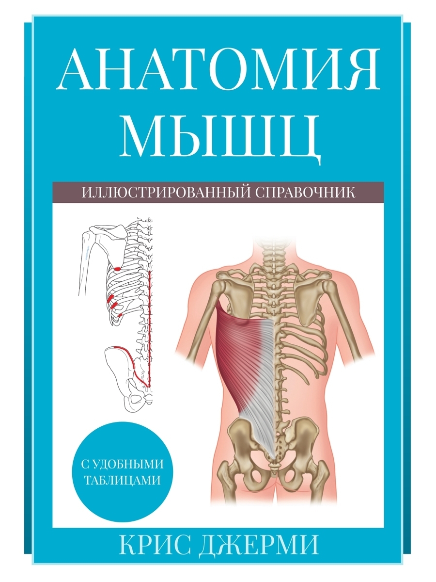 Обложка книги «Анатомия мышц: иллюстрированный справочник»