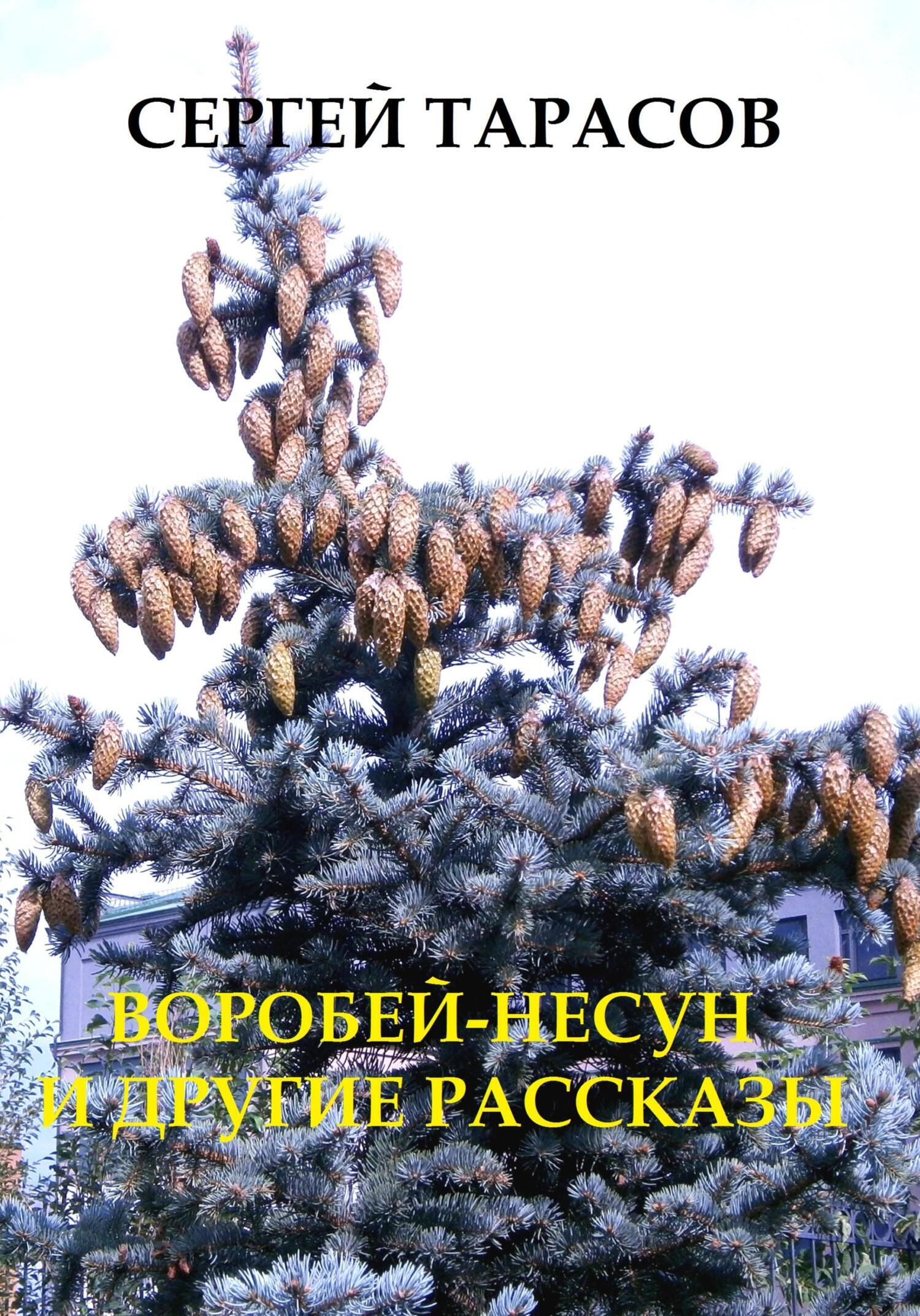 Обложка книги «Воробей-несун и погоня»