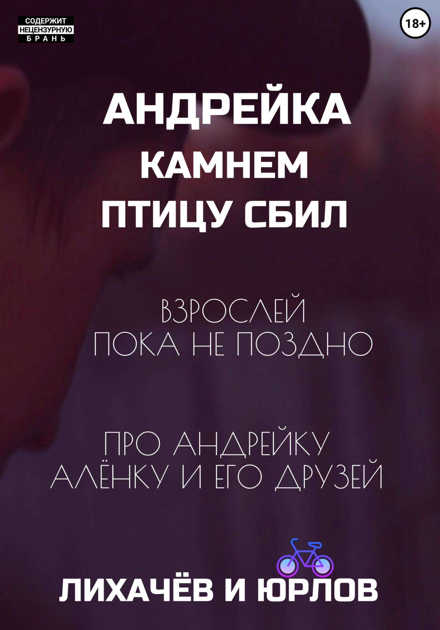 Обложка книги «Андрейка камнем птицу сбил»