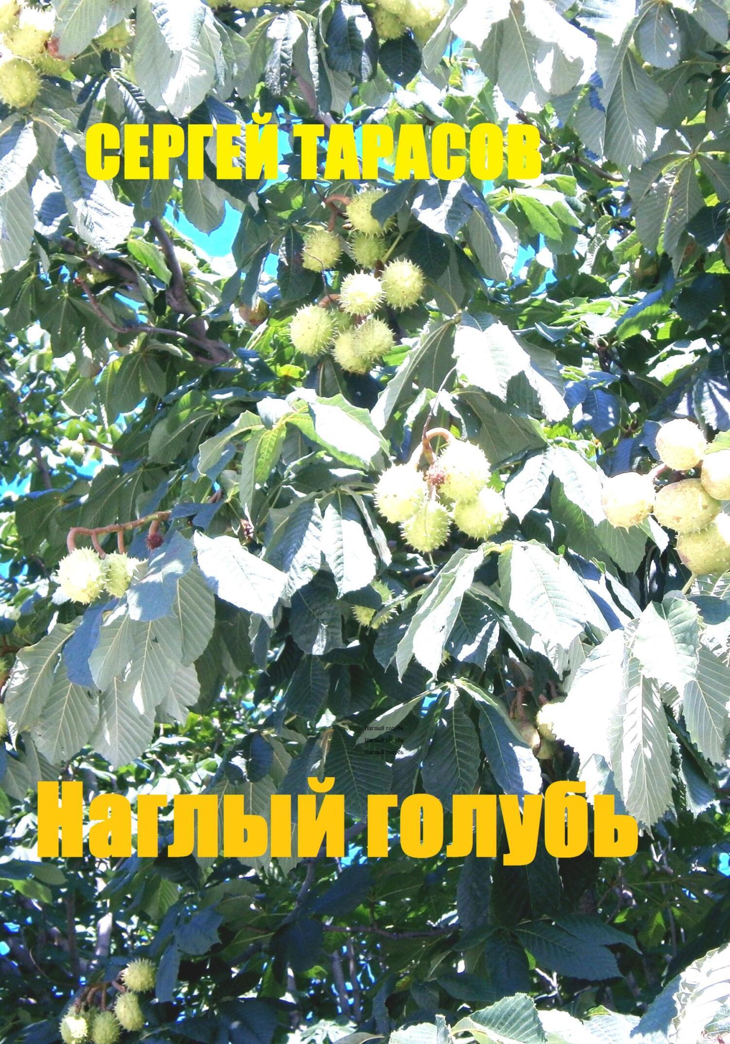 Обложка книги «Наглый голубь»