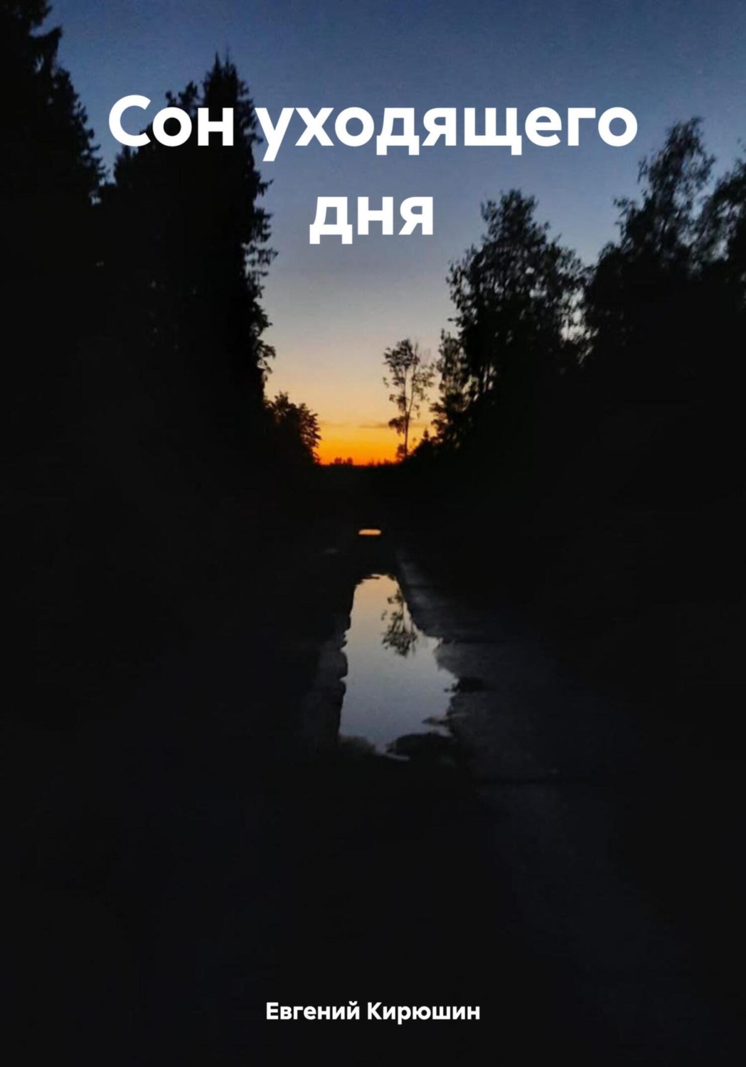 Обложка книги «Сон уходящего дня»