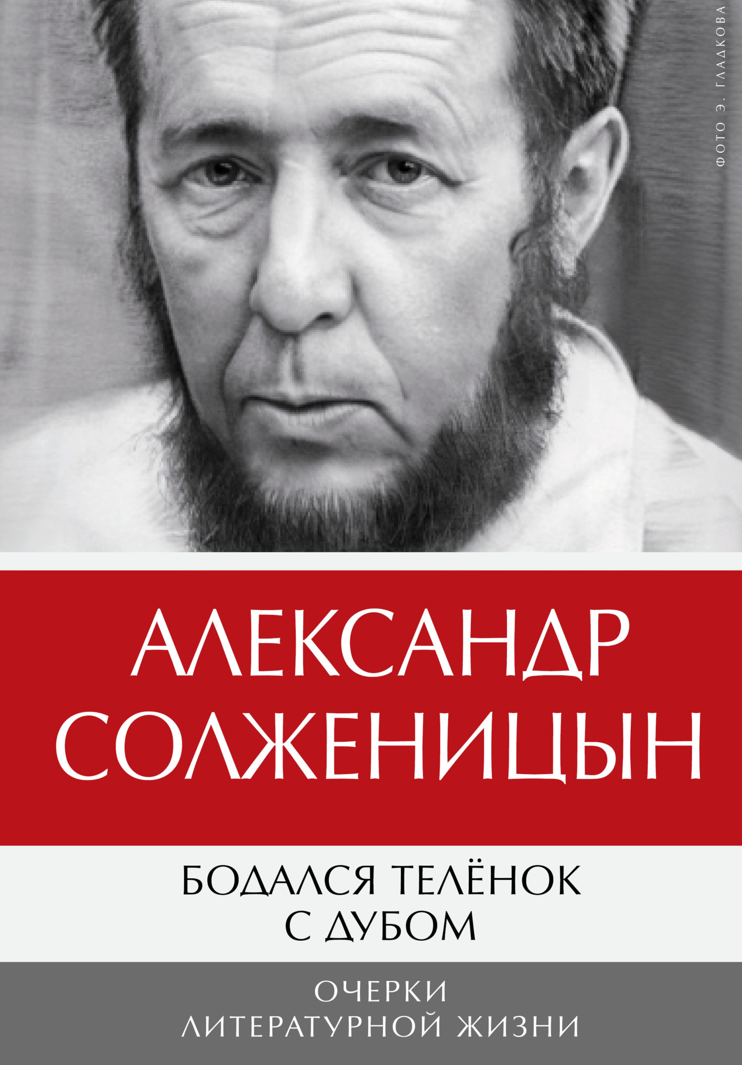 Обложка книги «Бодался телёнок с дубом. Очерки литературной жизни. Том 1»