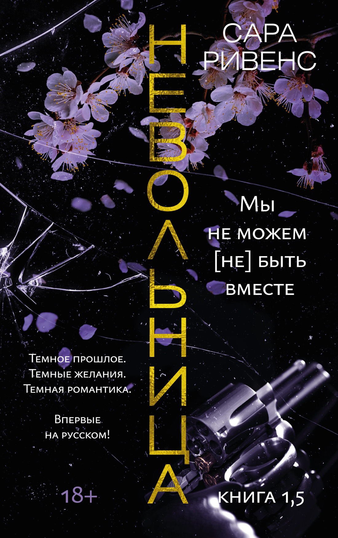 Обложка книги «Невольница. Книга 1,5. Мы не можем (не) быть вместе»