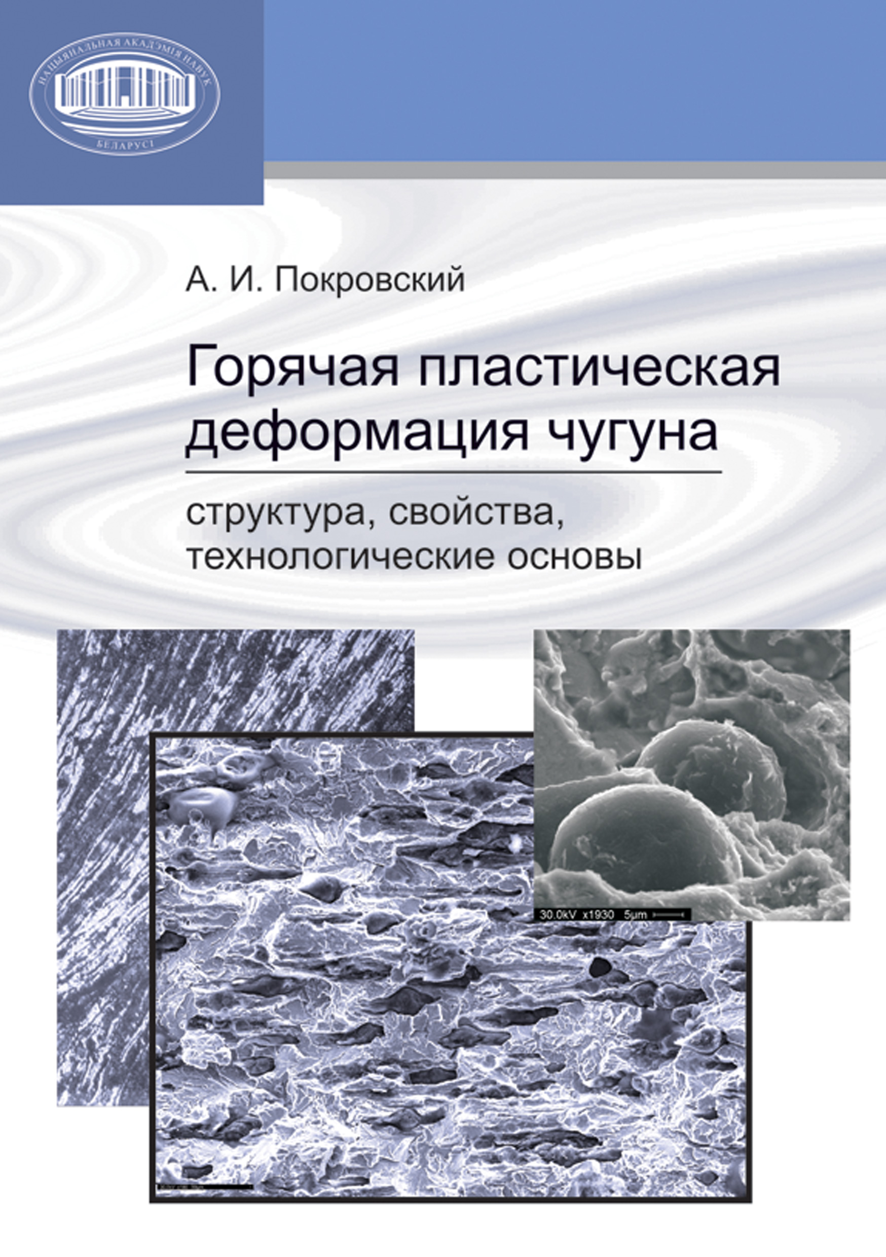 Обложка книги «Горячая пластическая деформация чугуна. Структура, свойства, технологические основы»