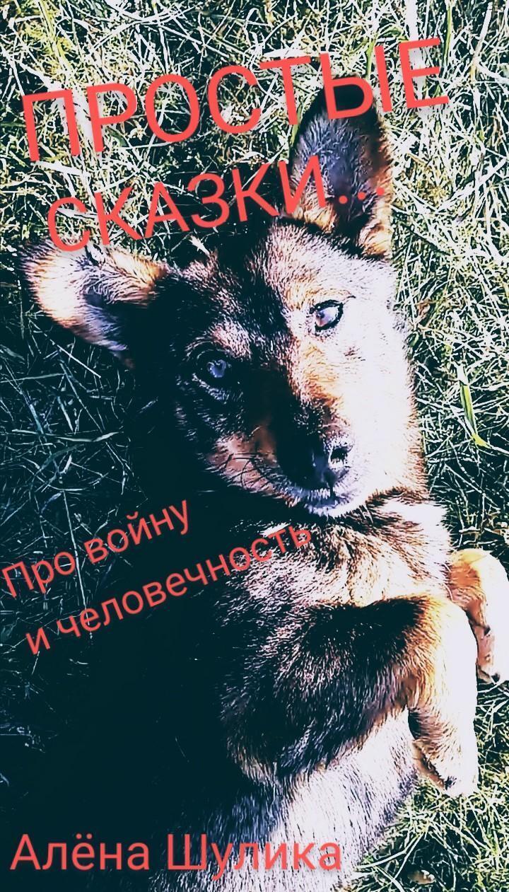 Обложка книги «Я РУССКИЙ, МОЯ НАЦИОНАЛЬНОСТЬ – ЧЕЛОВЕК. (ПРОСТЫЕ СКАЗКИ)»
