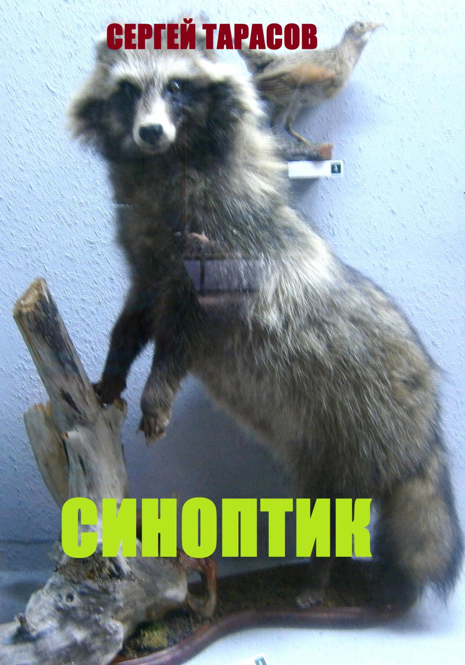 Обложка книги «Синоптик»