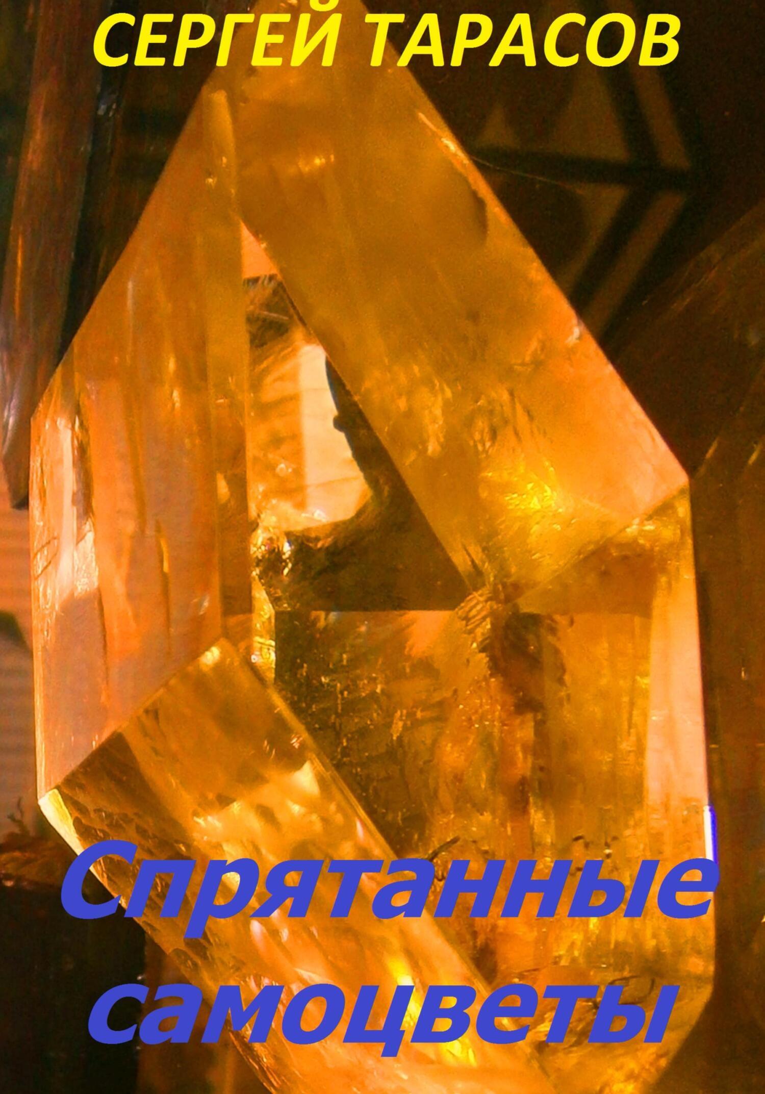 Обложка книги «Спрятанные самоцветы»