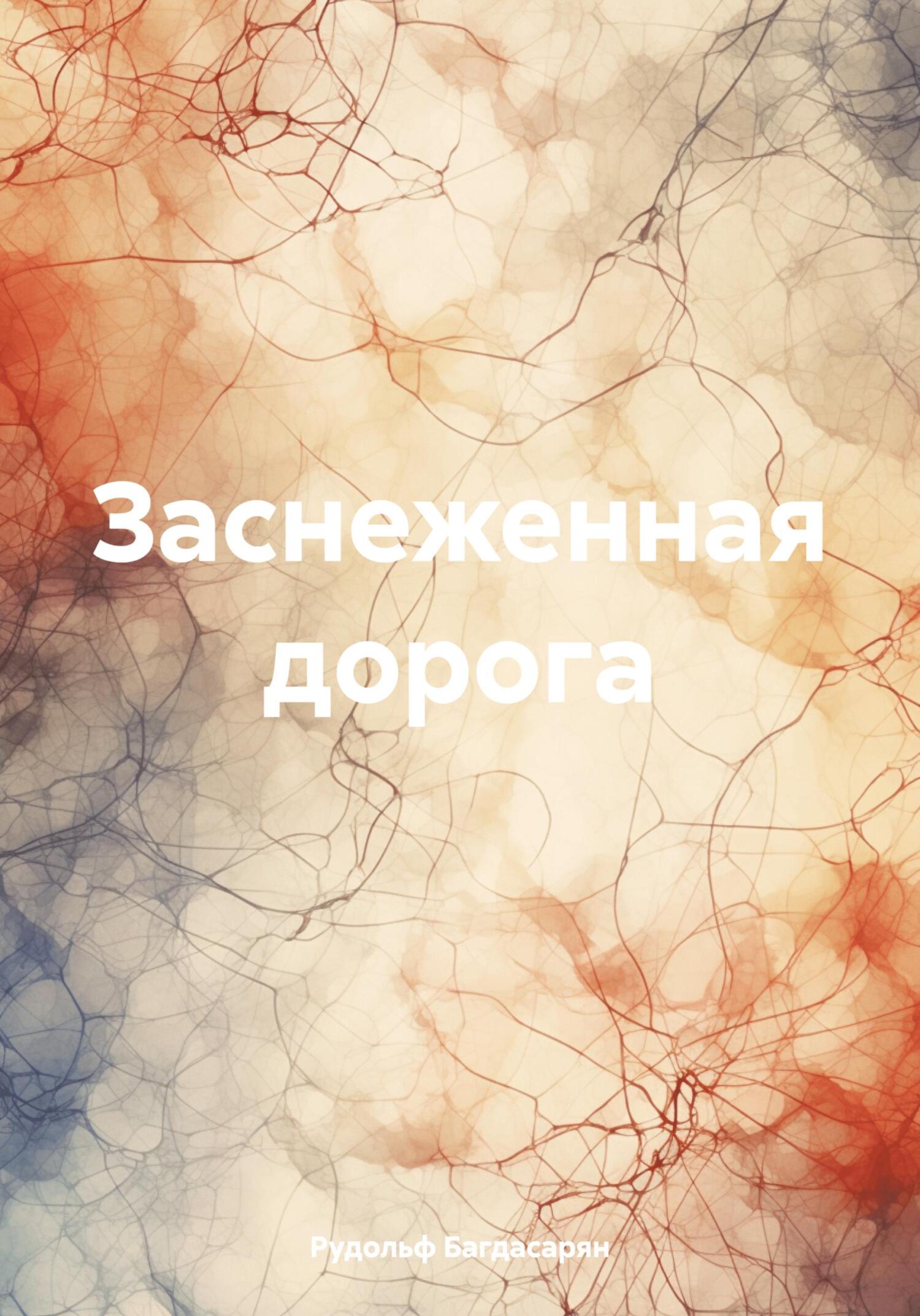 Обложка книги «Заснеженная дорога»