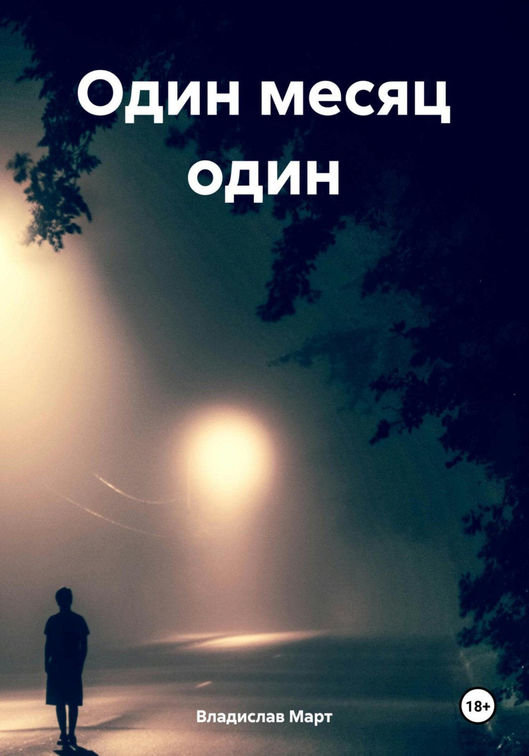 Обложка книги «Один месяц один»