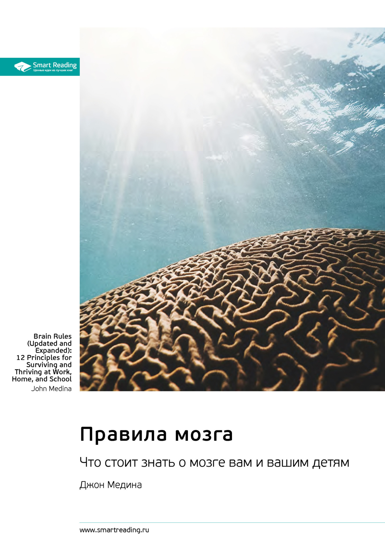 Обложка книги «Правила мозга. Что стоит знать о мозге вам и вашим детям. Джон Медина. Саммари»
