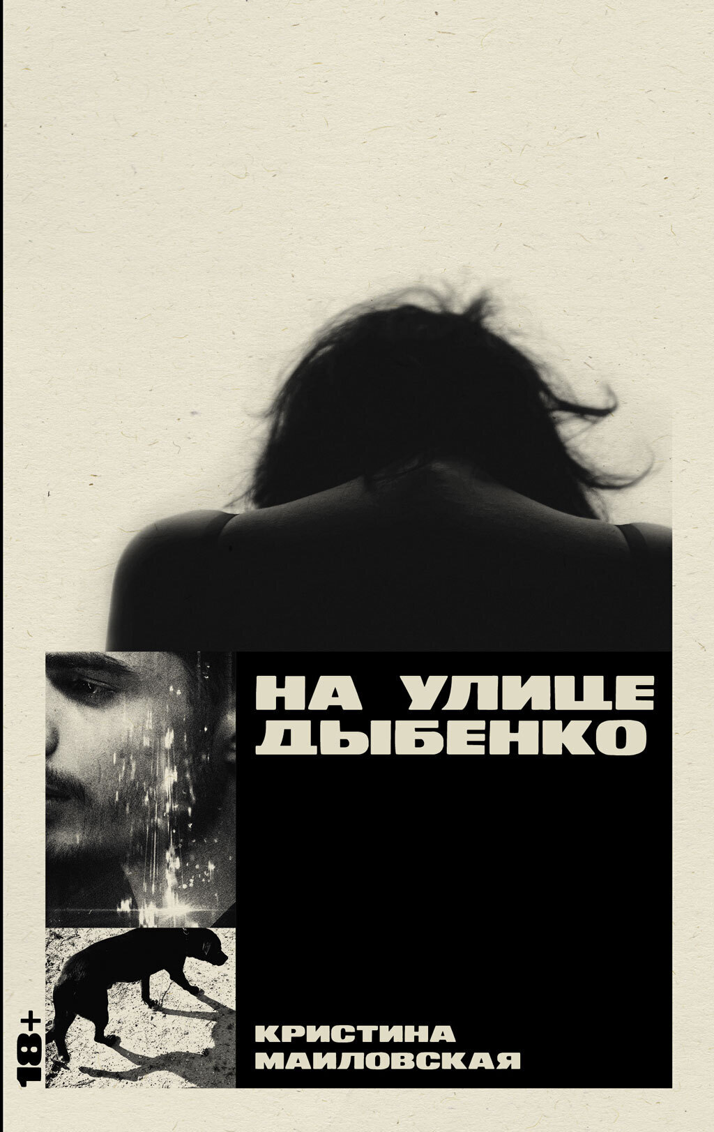 Обложка книги «На улице Дыбенко»