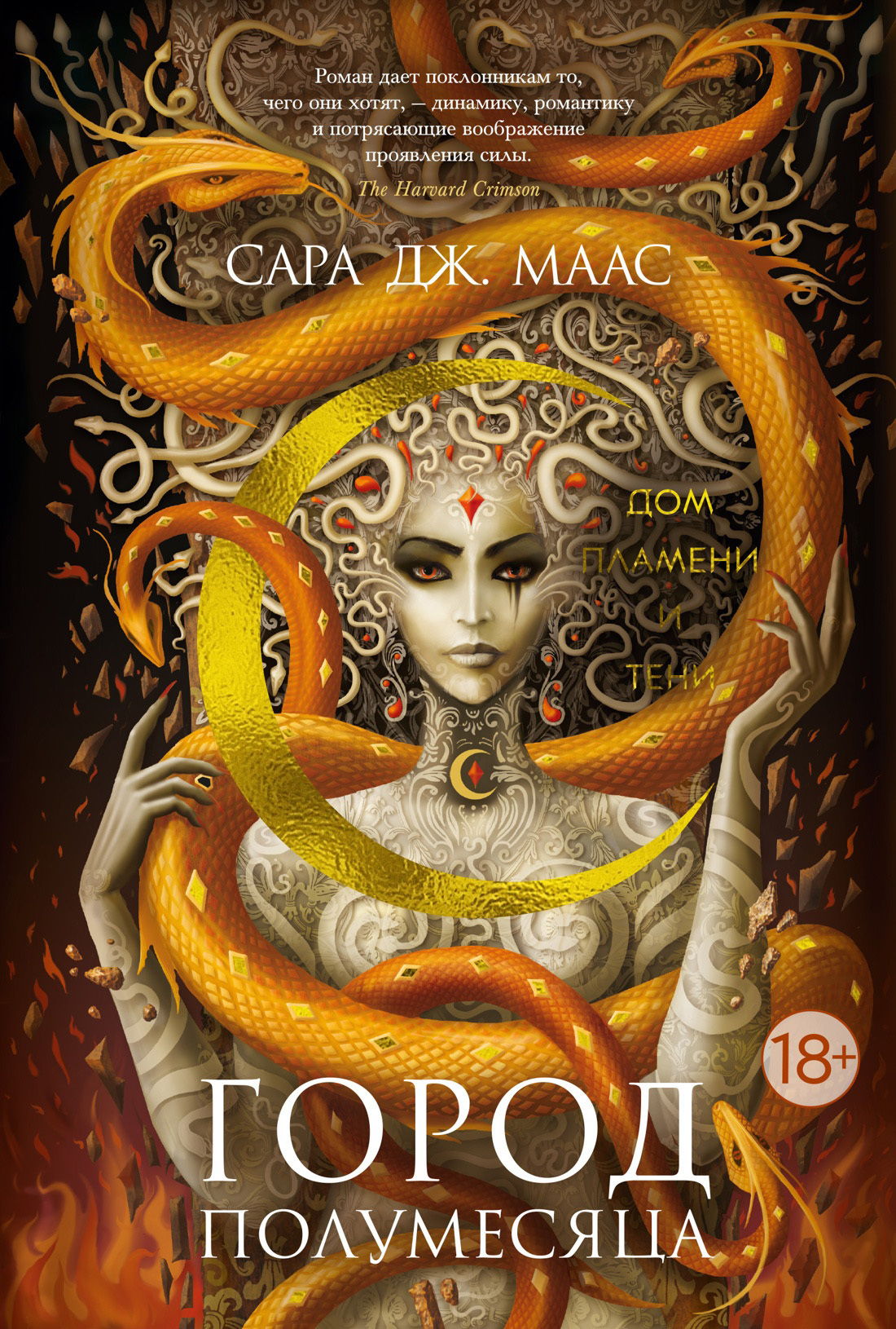 Обложка книги «Дом Пламени и Тени»