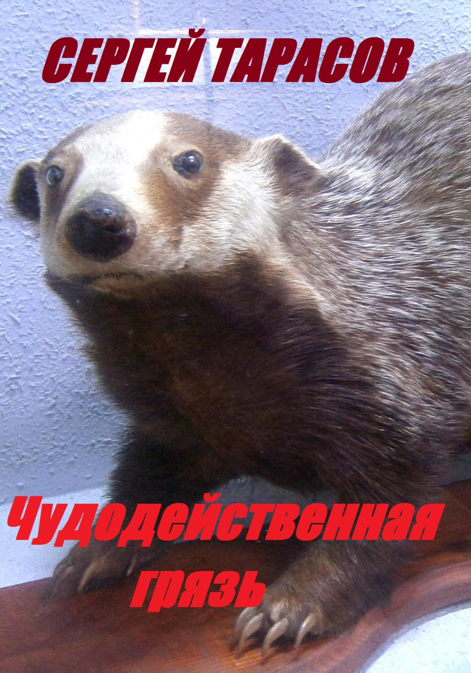 Обложка книги «Чудодейственная грязь»
