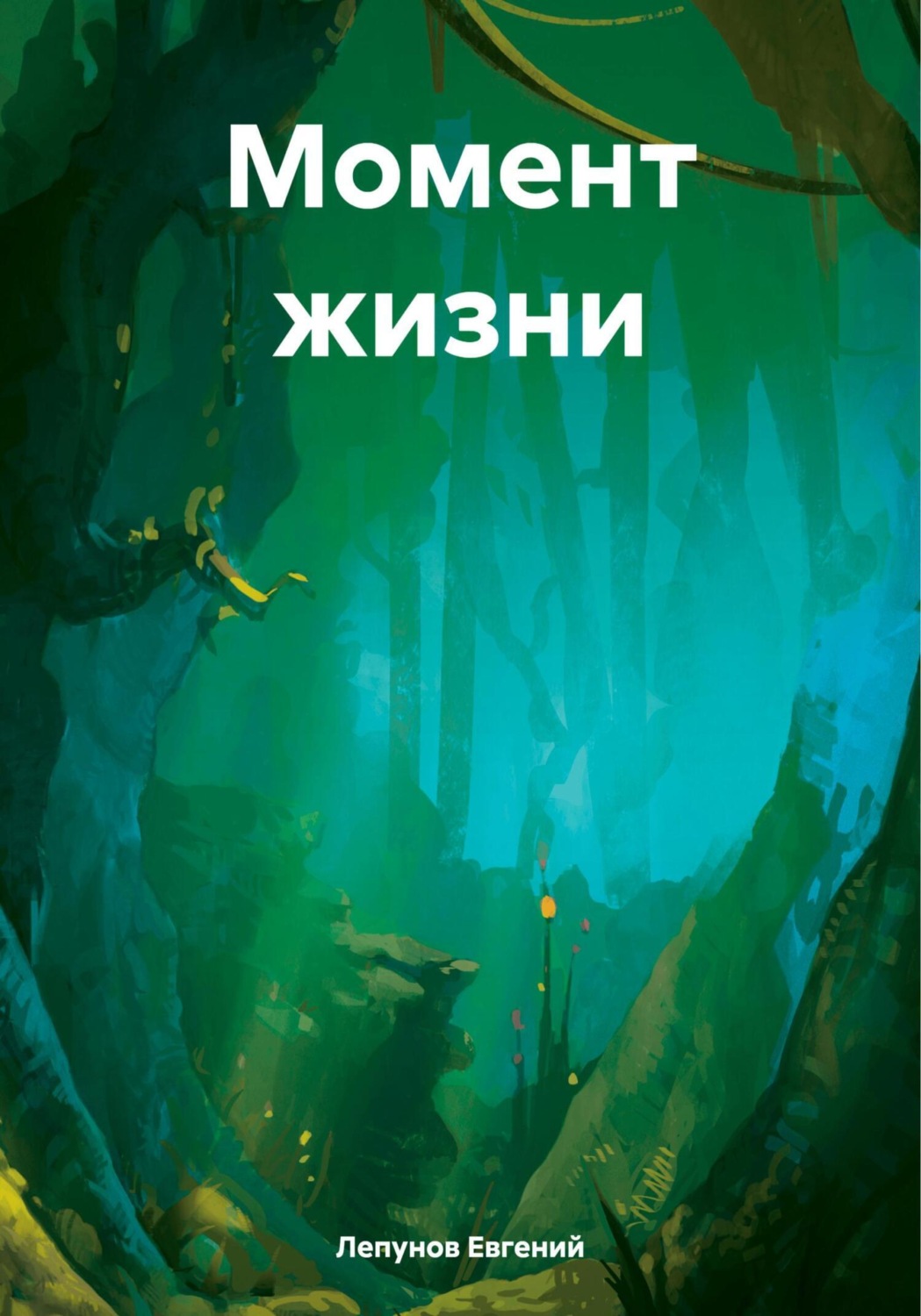 Обложка книги «Момент жизни»