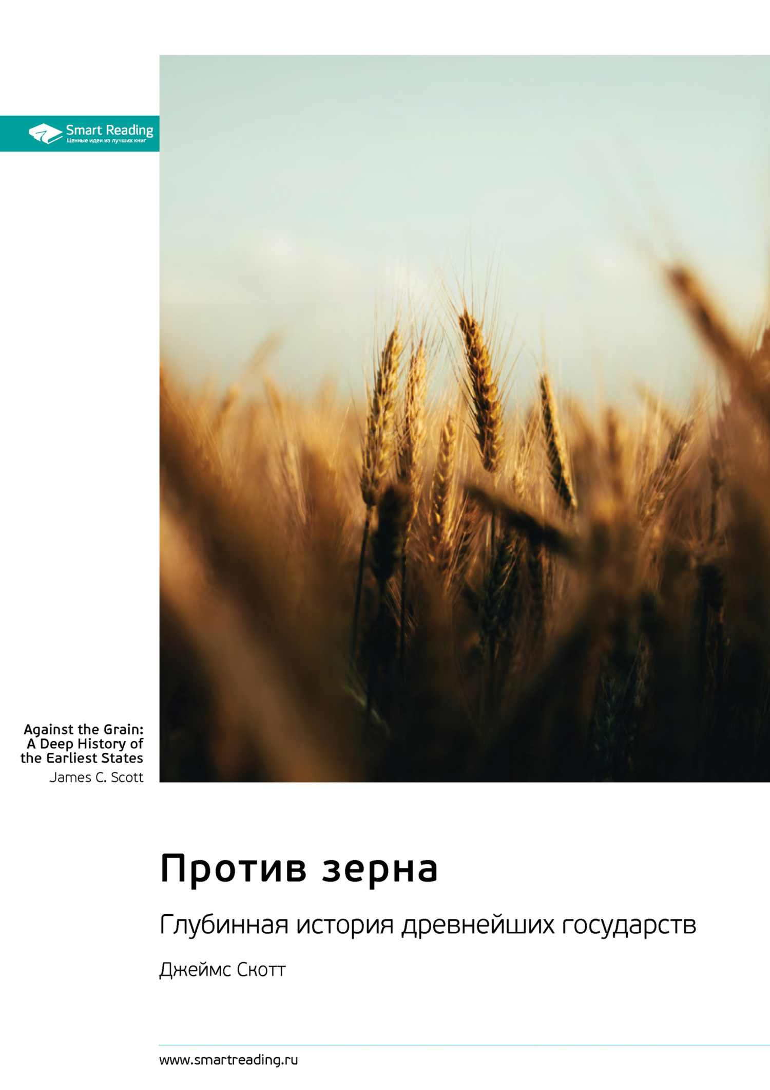 Обложка книги «Против зерна. Глубинная история древнейших государств. Джеймс Скотт. Саммари»