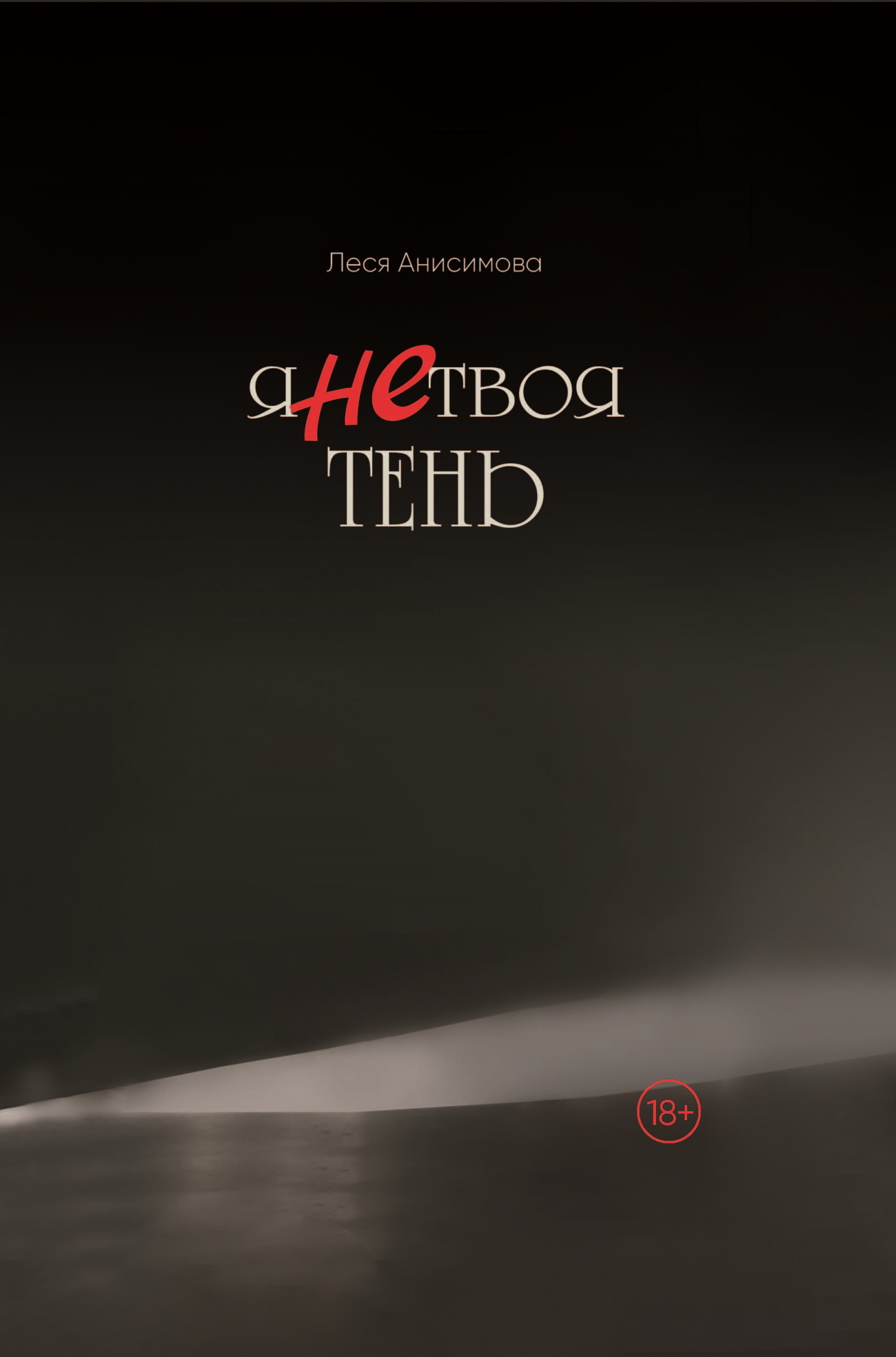 Обложка книги «Я не твоя тень»