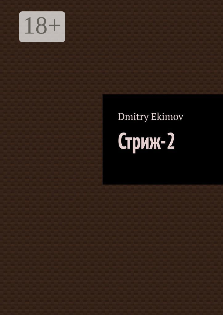 Обложка книги «Стриж-2»