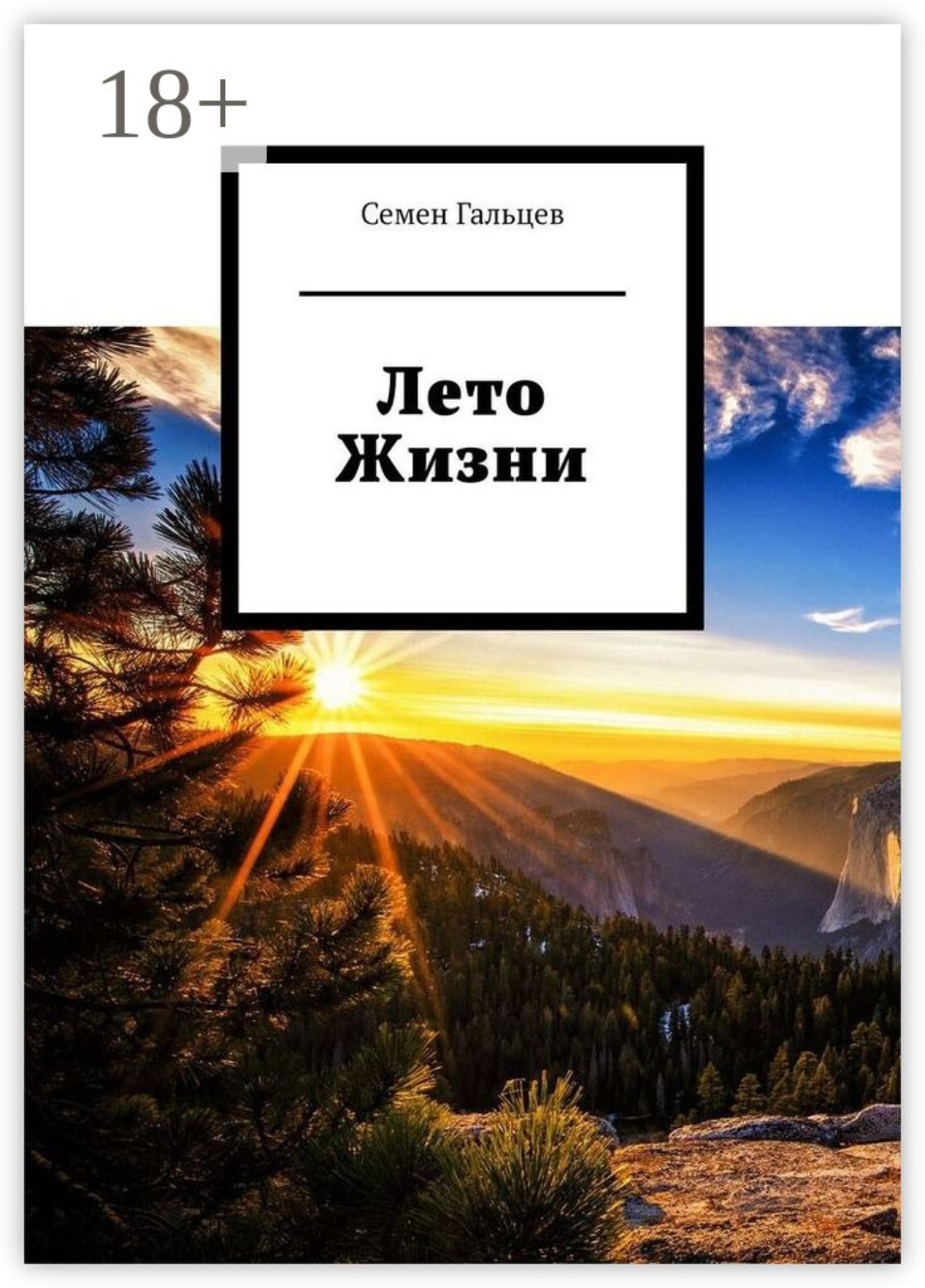 Обложка книги «Лето Жизни»