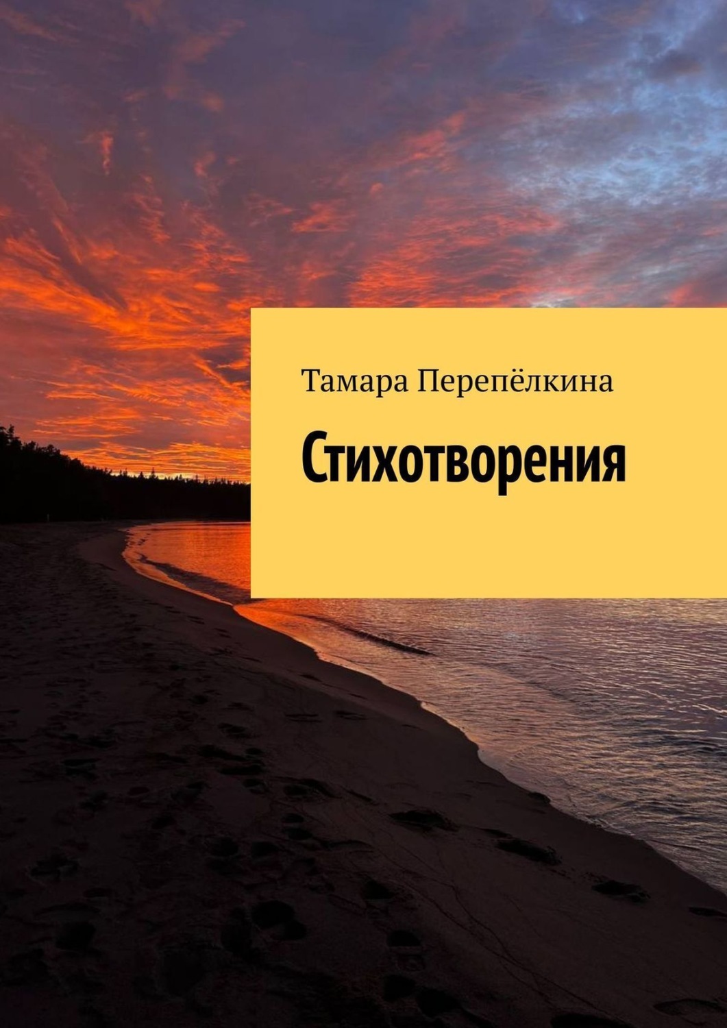 Обложка книги «Стихотворения»
