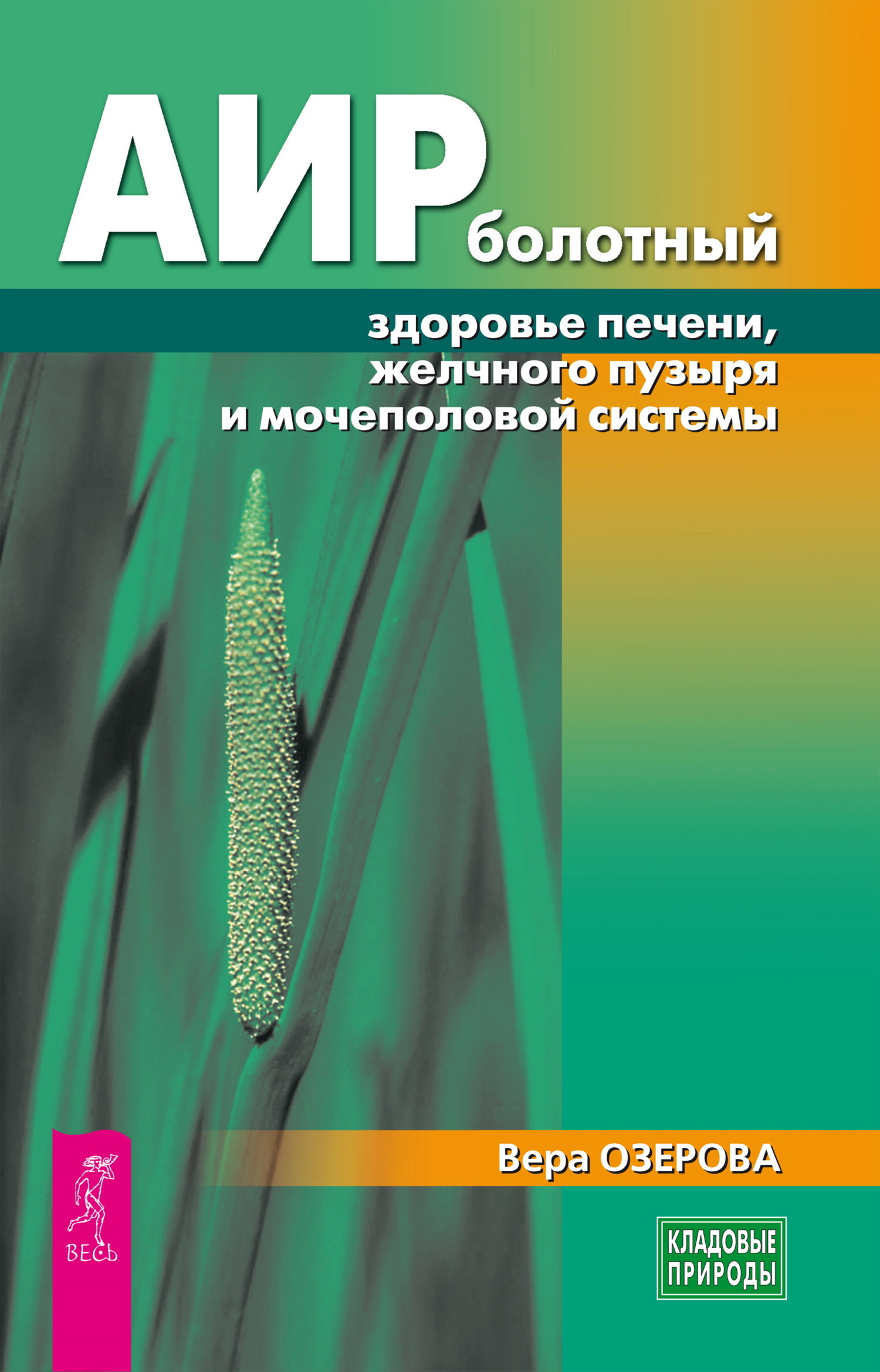 Обложка книги «Аир болотный – здоровье печени, желчного пузыря и мочеполовой системы»