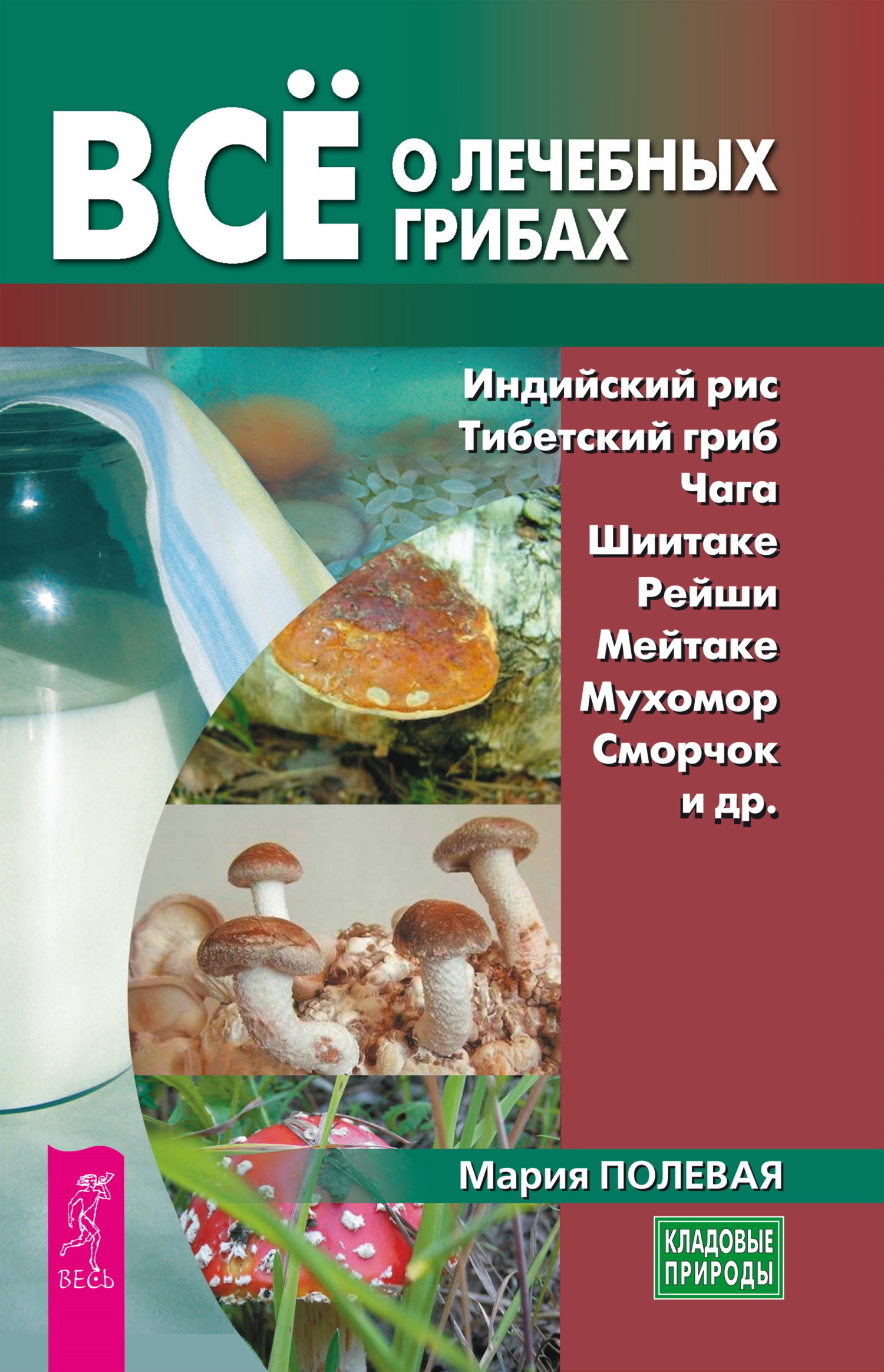Обложка книги «Всё о лечебных грибах»