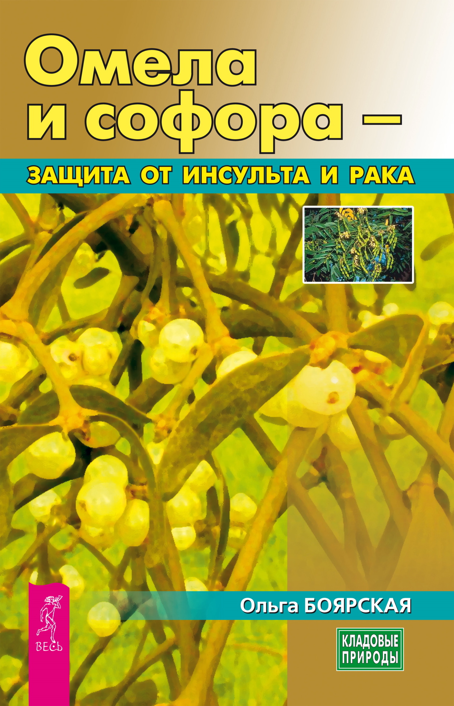 Обложка книги «Омела и софора – защита от инсульта и рака»