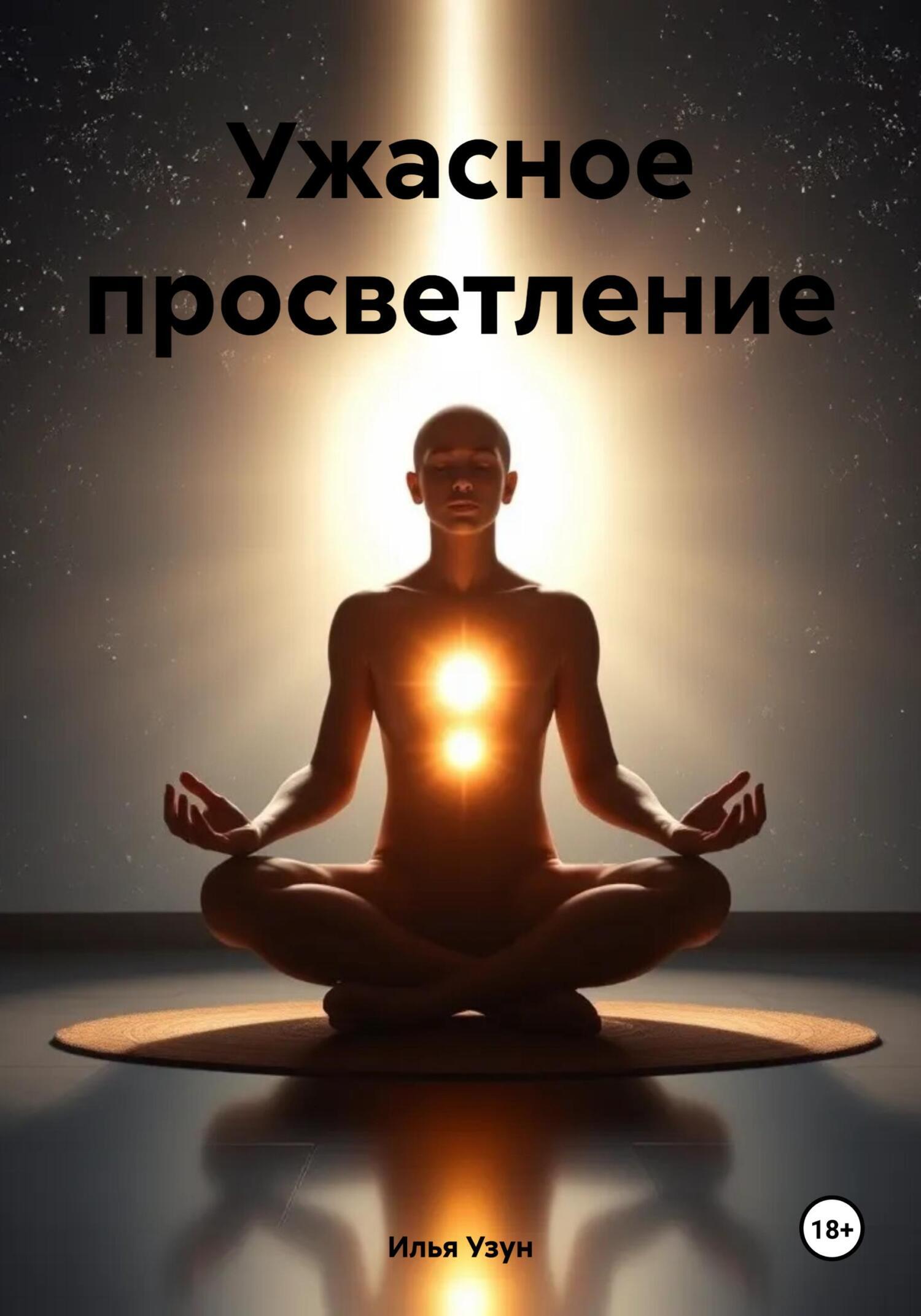 Обложка книги «Ужасное просветление»