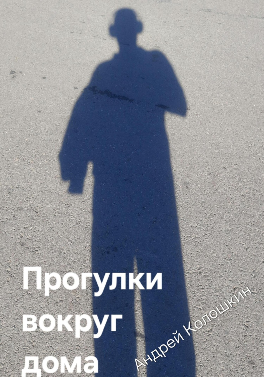 Обложка книги «Прогулки вокруг дома»